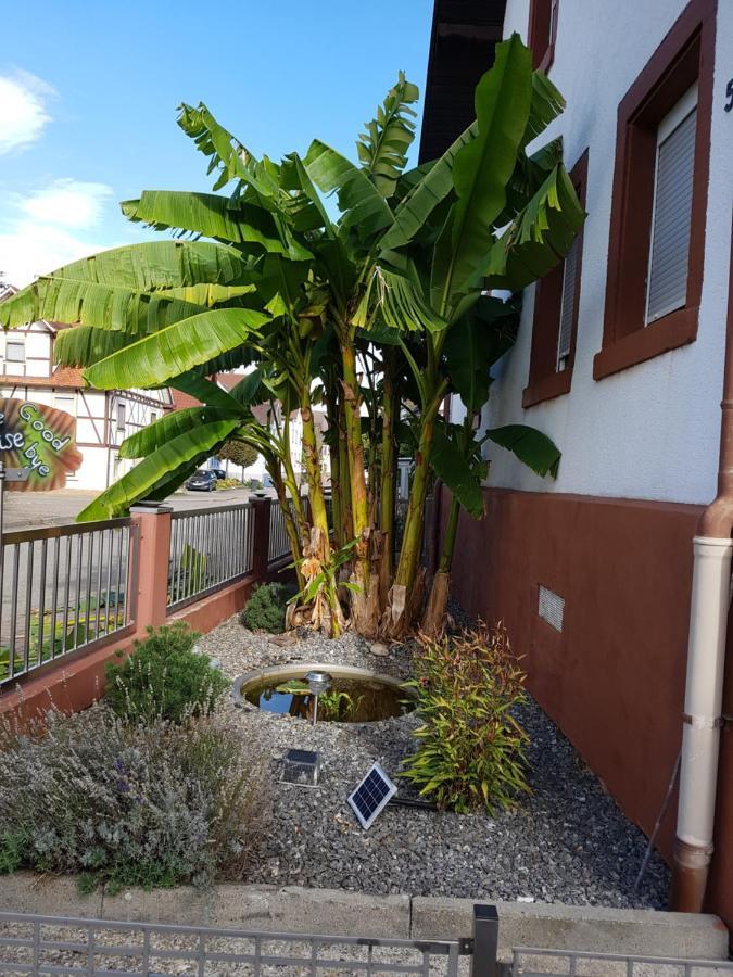 Marielies-Urlaubsstube Apartment Meissenheim Ngoại thất bức ảnh